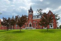 Étude de l’Université Bishop’s : discuter du climat réduit l’écoanxiété chez les enfants